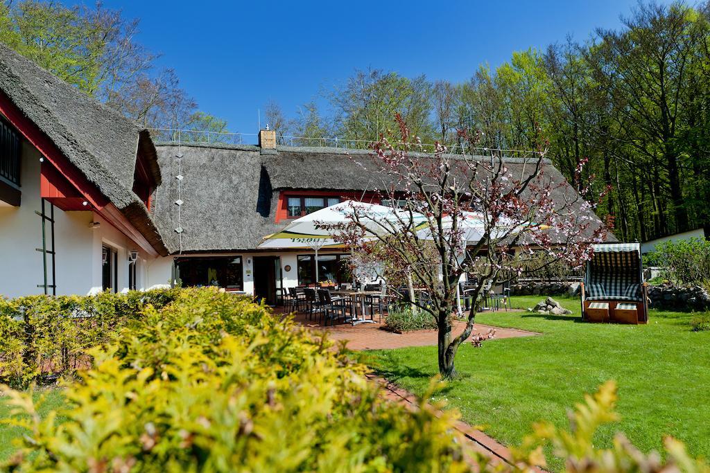 Restaurant & Hotel Baumhaus Hagen Засниц Экстерьер фото